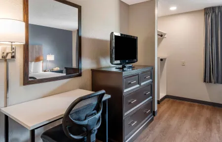 Studio Suite - 1 Queen Bed