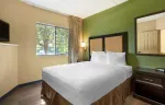 1 Bedroom Suite - 1 Queen Bed