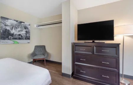 Studio Suite - 2 Full Beds