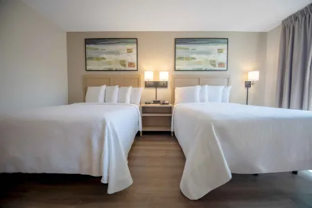 Studio Suite - 2 Full Beds