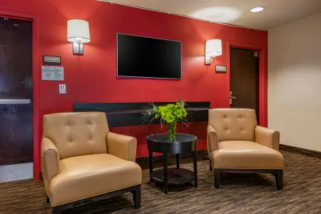 Lobby and Guest Check-in