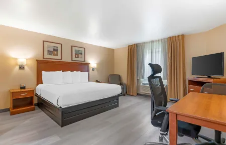 Studio Suite - 1 King Bed