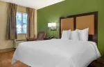1 Bedroom Suite - 1 King Bed