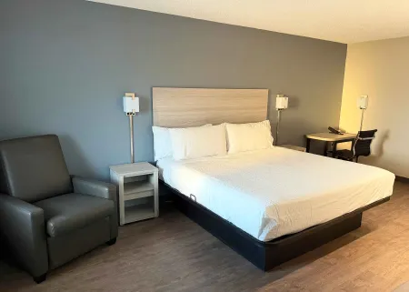 Studio Suite - 1 Queen Bed