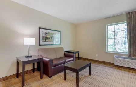 1 Bedroom Suite - 1 Queen Bed