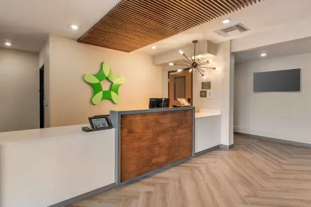 Lobby and Guest Check-in