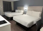 Studio Suite - 2 Full Beds