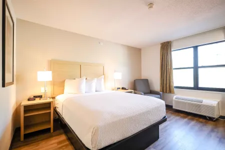 Studio Suite - 1 Queen Bed
