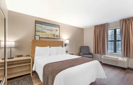 Studio Suite - 1 Queen Bed