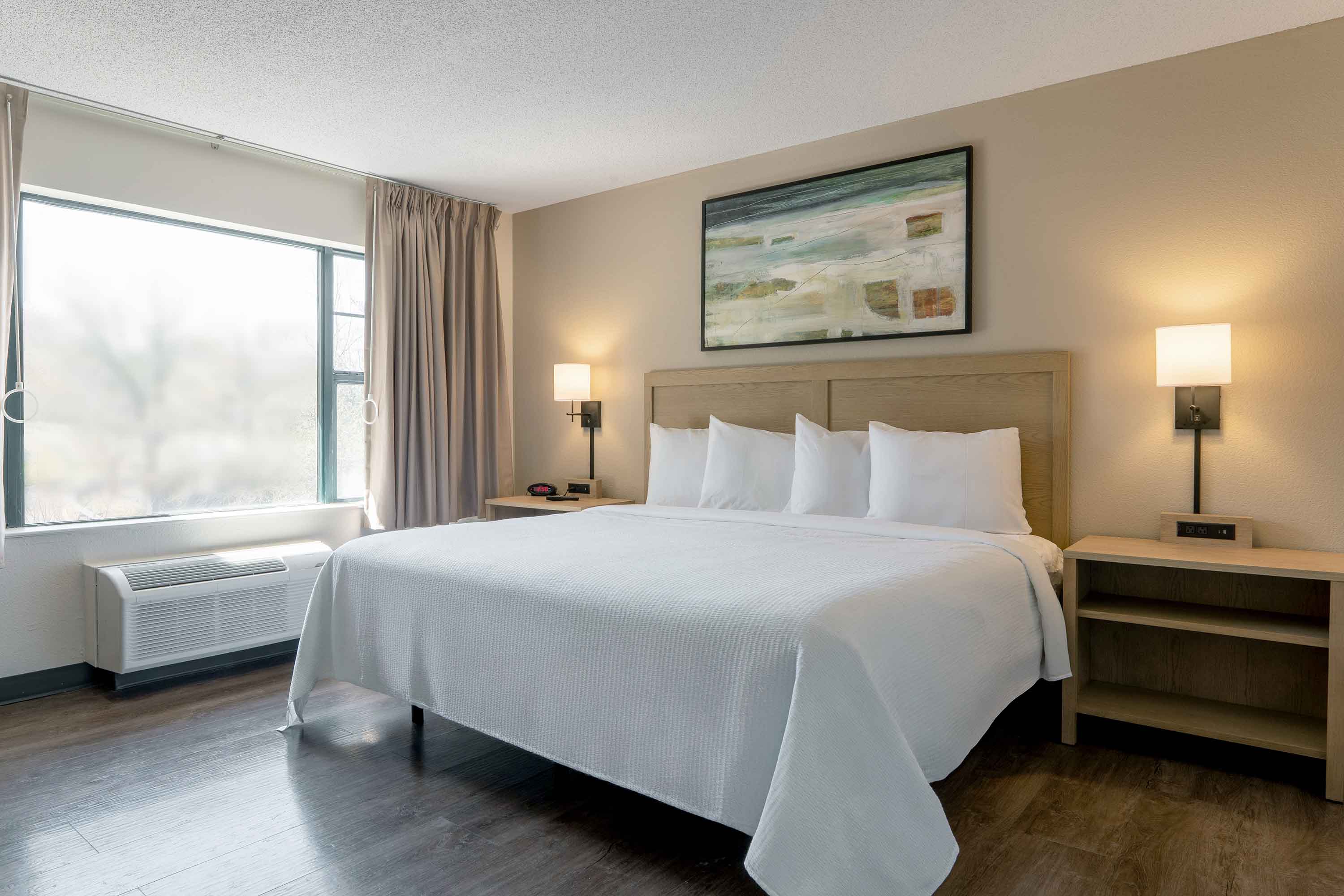 1 Bedroom Suite - 1 King Bed