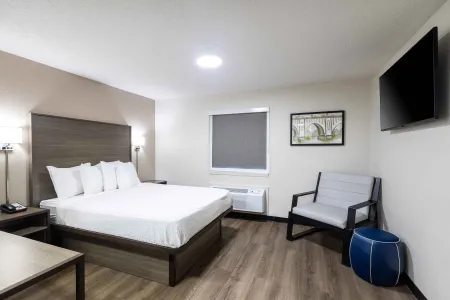 Studio Suite - 1 Queen Bed