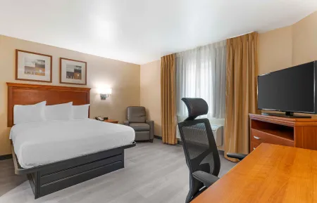 Studio Suite - 1 Queen Bed