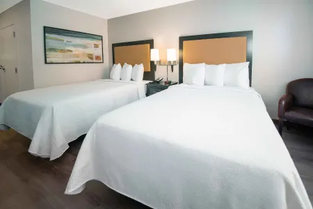 Deluxe Studio - 2 Full Beds