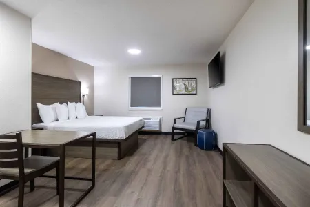 Studio Suite - 1 Queen Bed