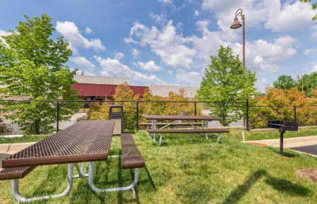 Picnic Area